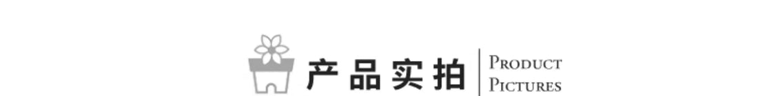 Boho Outdoor Wall Mirror – Decorative Hanging Art