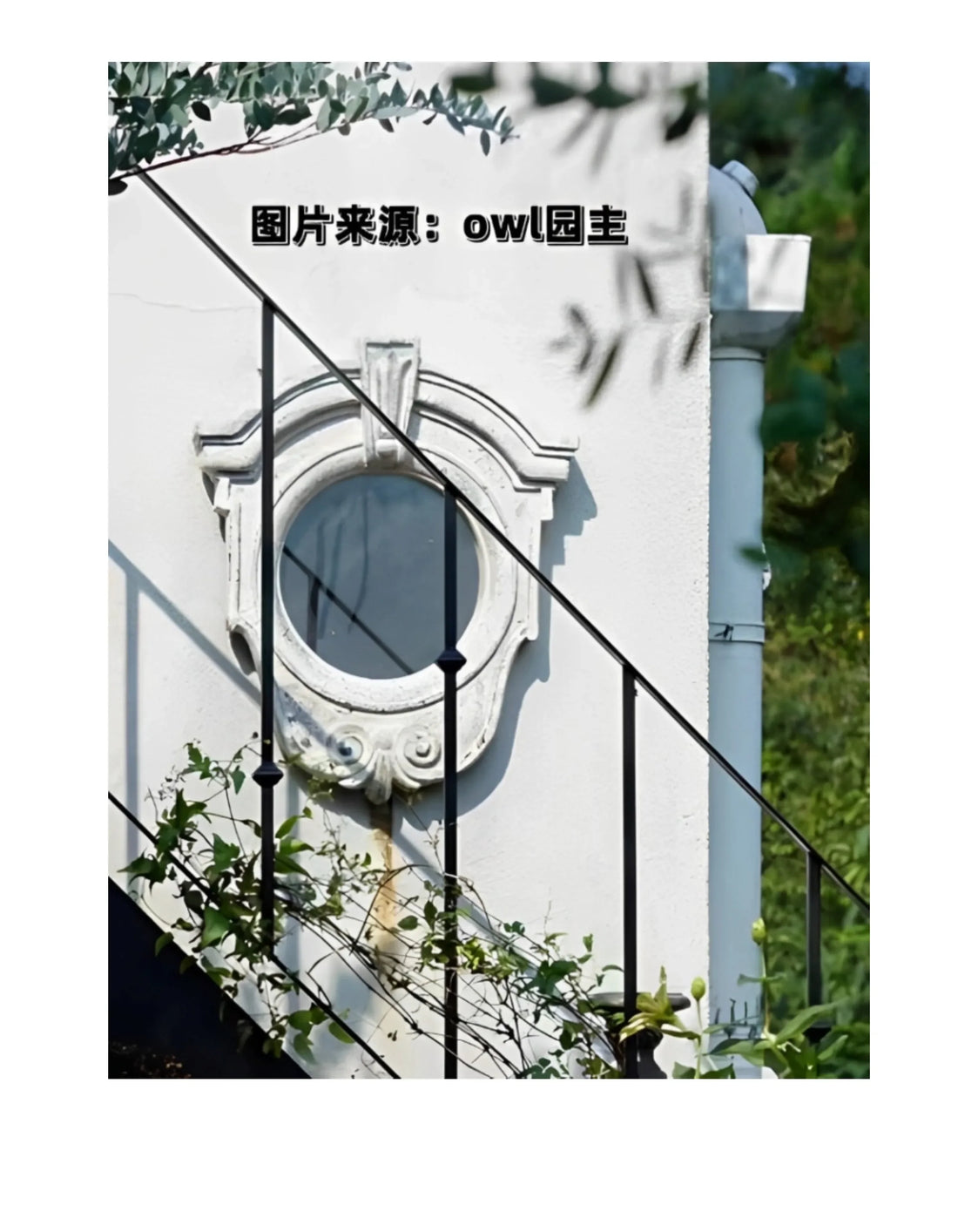 Boho Outdoor Wall Mirror – Decorative Hanging Art